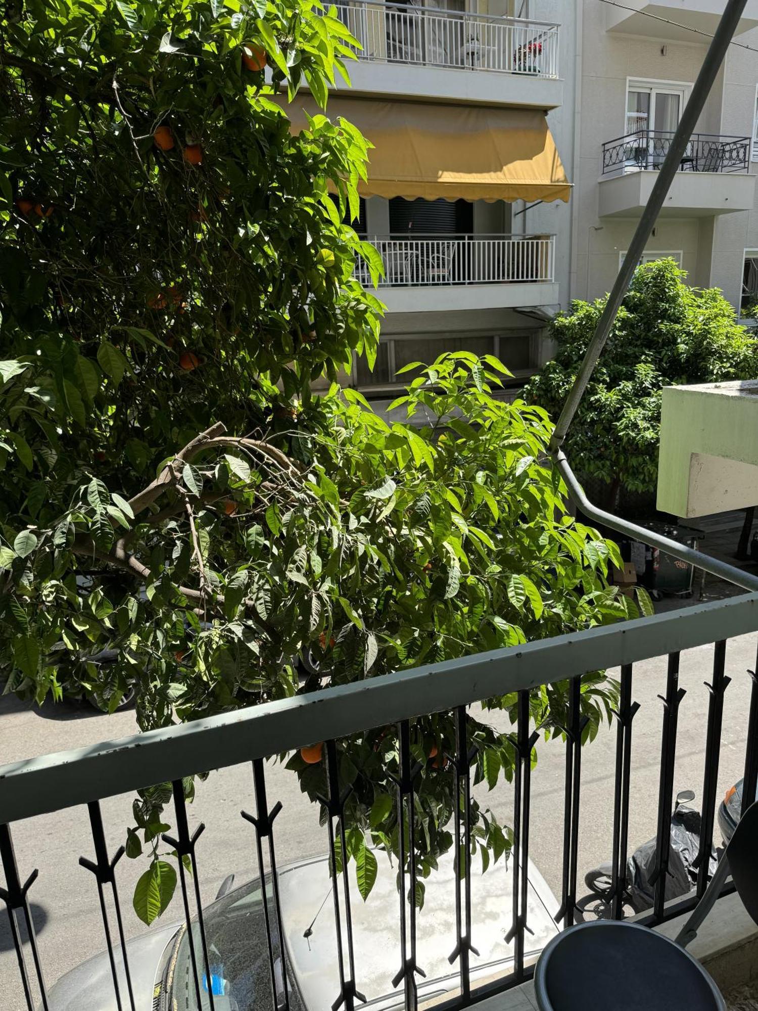 Cozy Apt Next To Acropolis Athena Bagian luar foto